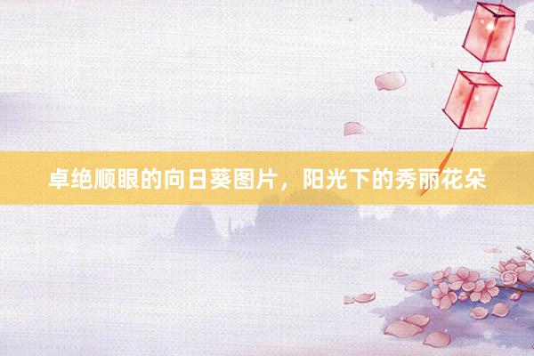 卓绝顺眼的向日葵图片，阳光下的秀丽花朵